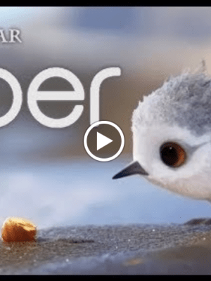 Pixar short Film